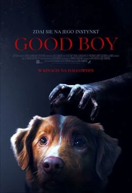 Good Boy (napisy)